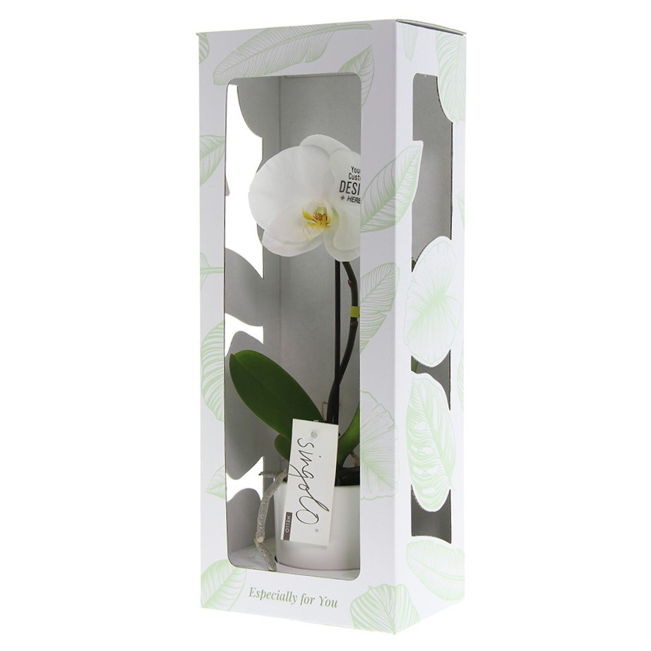Message Printz® - Orchidee in giftbox